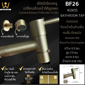 BF26 Tap brushed gold 3
