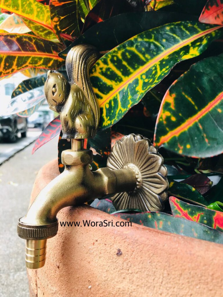 ก๊อกน้ำทองเหลือง