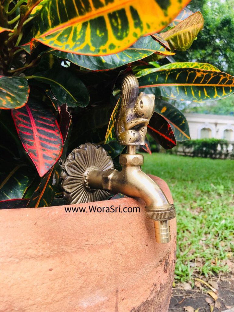 ก๊อกน้ำทองเหลือง