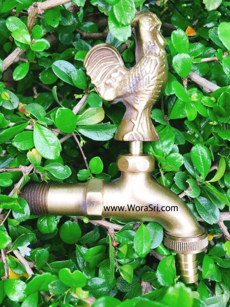 ก๊อกน้ำทองเหลือง