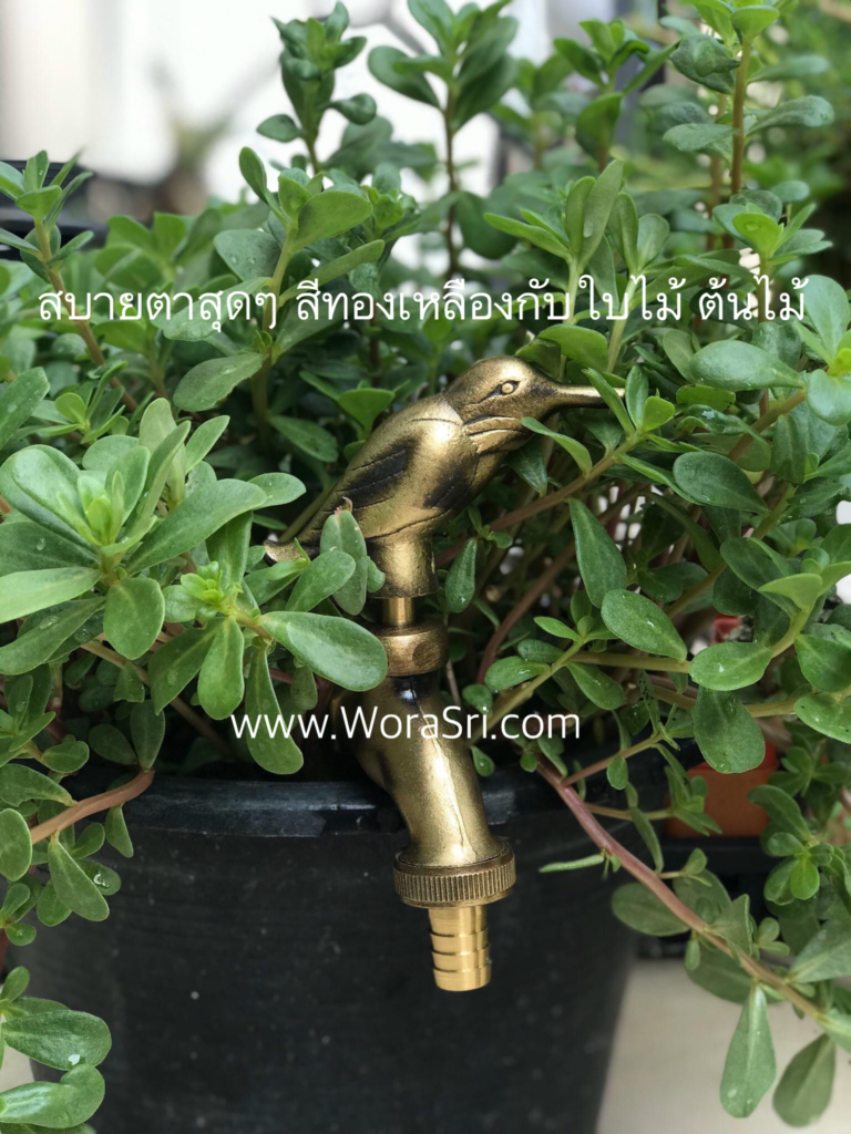 Outdoor Basin Bibcock Sink 