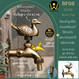 ก๊อกล้างพื้นสนามเป็ด BF08 Duck Brass Tap