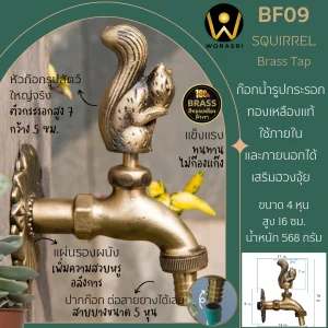 ก๊อกสนามล้างพื้นกระรอก BF09 Squirrel Brass Tap