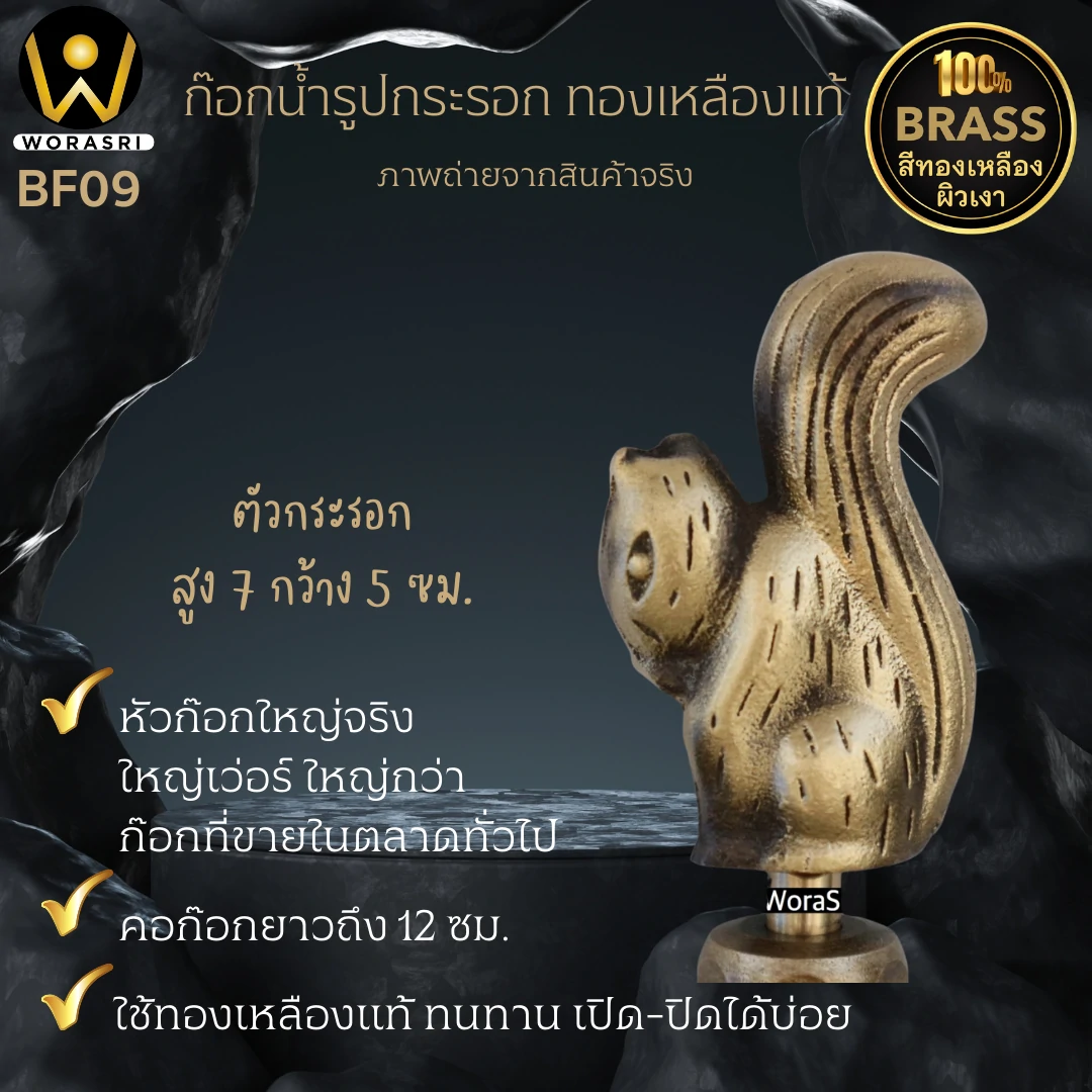 ก๊อกสนามล้างพื้นกระรอก BF09 Squirrel Brass Tap - Image 2