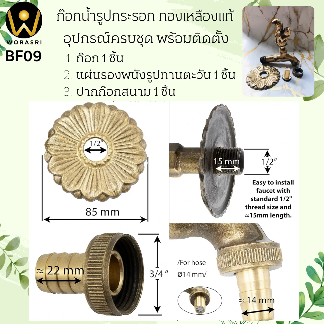 ก๊อกสนามล้างพื้นกระรอก BF09 Squirrel Brass Tap - Image 5