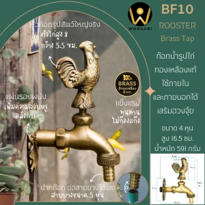 ก๊อกล้างพื้นติดผนังไก่ BF10 Rooster Brass Tap
