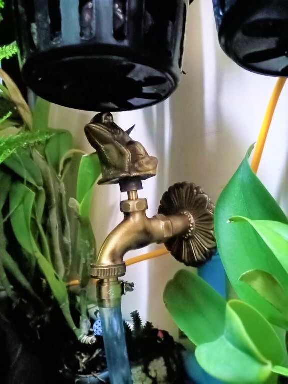 ก๊อกน้ำตกแต่งบ้าน