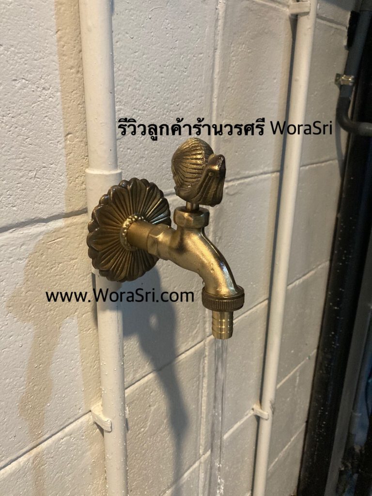 Garden Wall Mounted spigots ก๊อกอ่างล้างหน้า