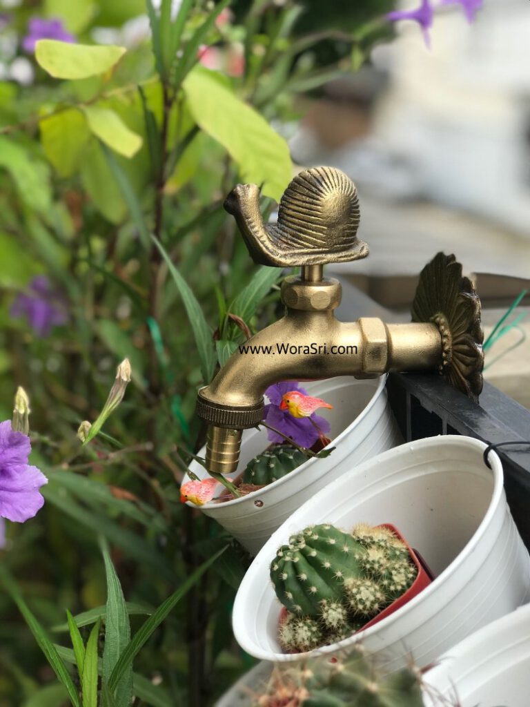 แต่งบ้าน 