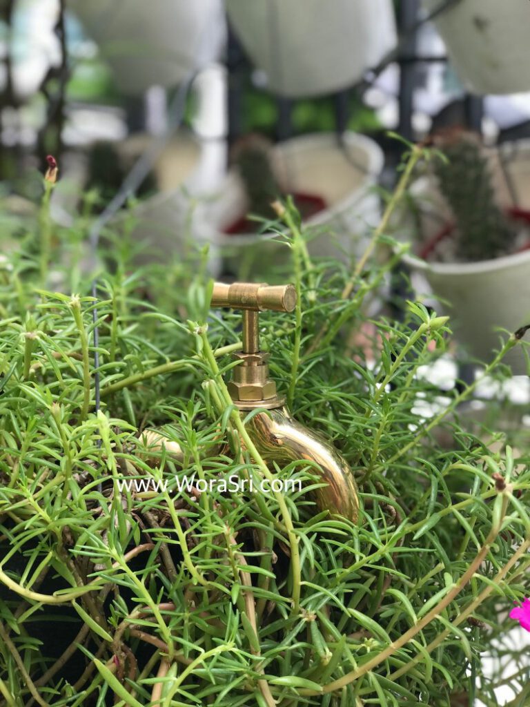 แต่งบ้านน่ารัก ก๊อกตกแต่งบ้าน