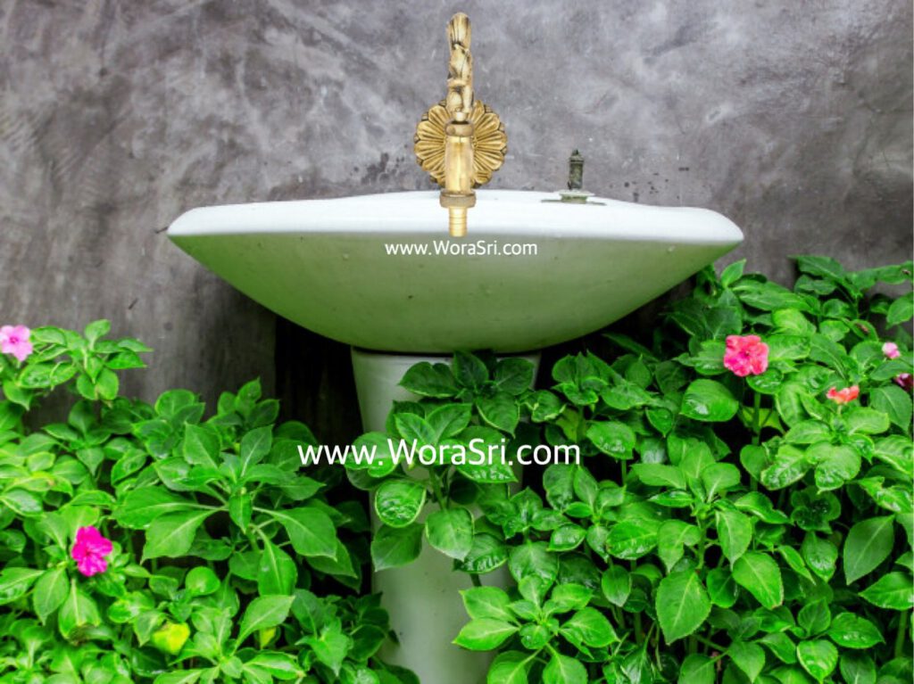 แต่งสวนหน้าบ้าน 