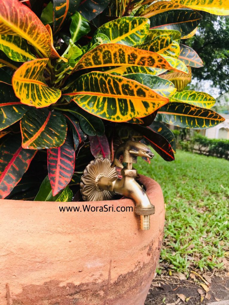 ก๊อกห้องน้ำ ก๊อกตกแต่งบ้าน