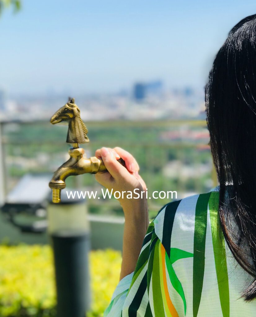 ก๊อกฮวงจุ้ย