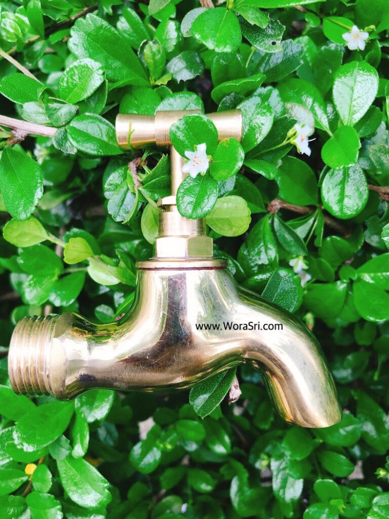 ก๊อกล้างพื้น