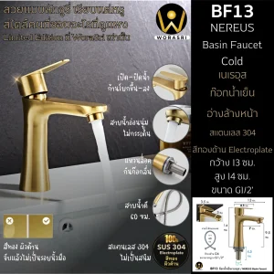 ก๊อกเดี่ยวอ่างล้างหน้าน้ำเย็นทรงเตี้ยสีทอง BF13 Brushed Gold Basin Faucet