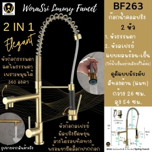 ก๊อก2หัวสปริงดึงหัวโยกสาย สีทอง BF263 Sink Faucet