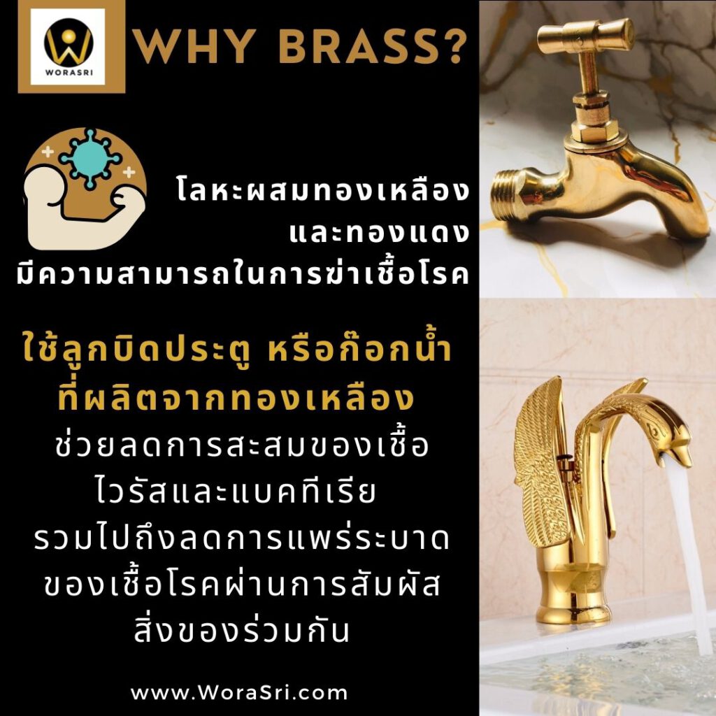 ก๊อกน้ำและอุปกรณ์ห้องน้ำ