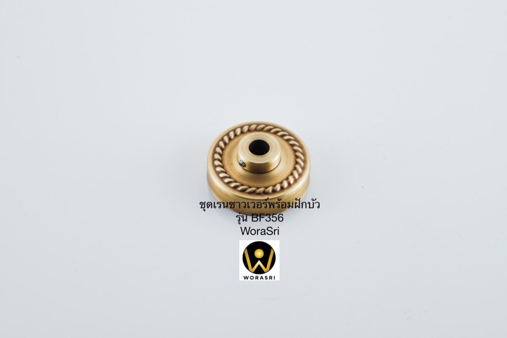 BF356 Rain and handheld shower antique brass color bathroom (11)