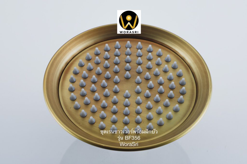 BF356 Rain and handheld shower antique brass color bathroom (13)