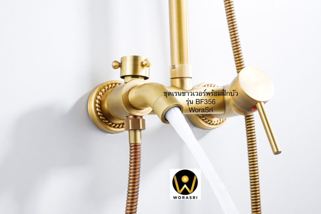 BF356 Rain and handheld shower antique brass color bathroom (2)