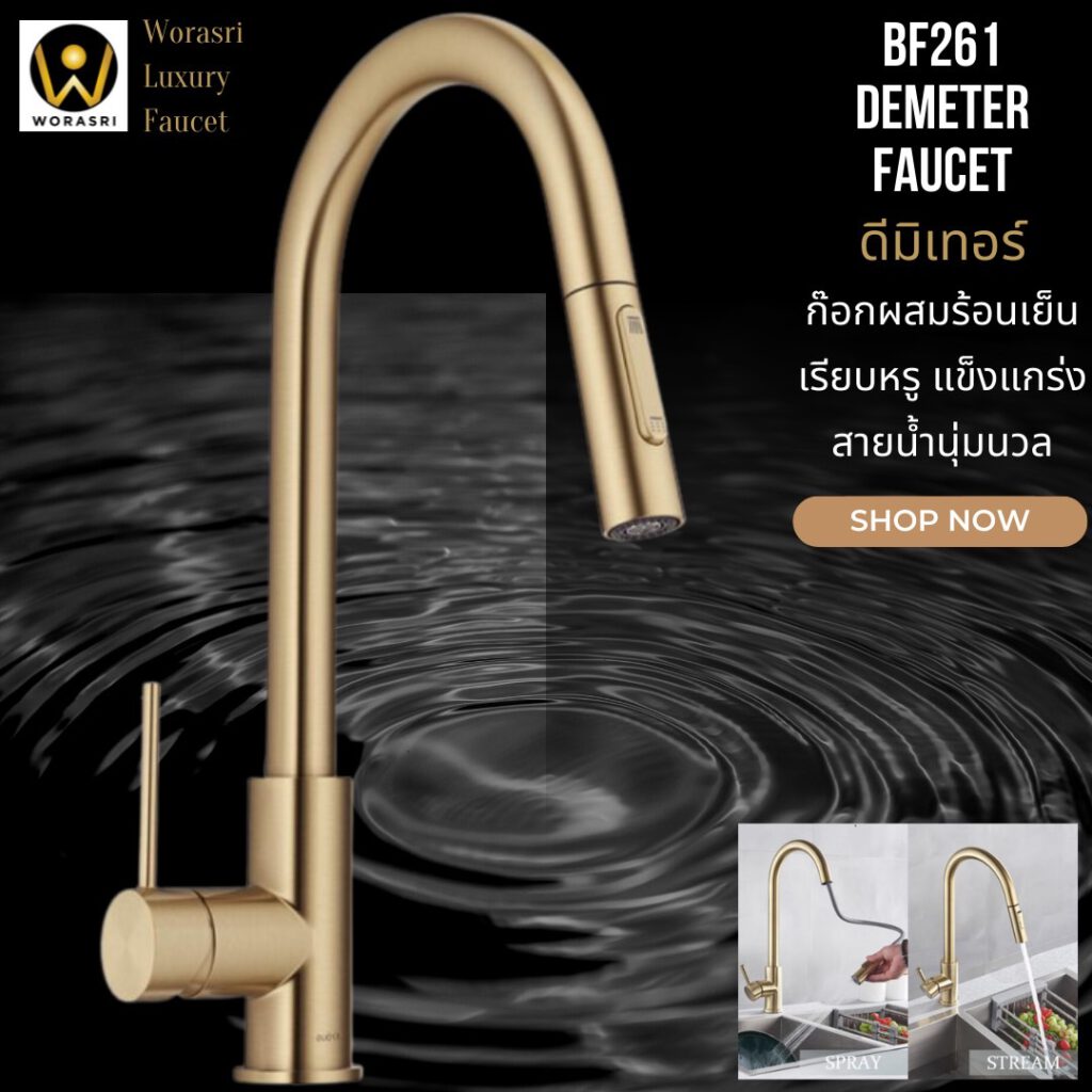 BF261 Demeter pull out golden color kitchen faucet brushed gold