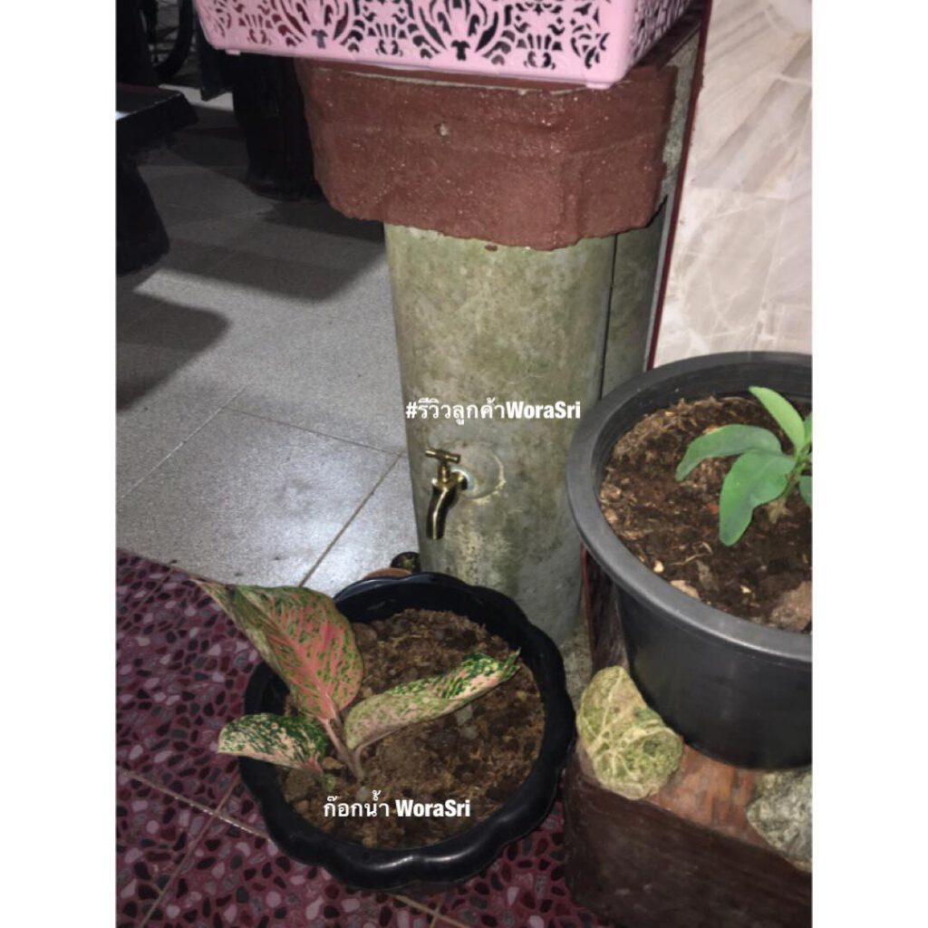 ก๊อกน้ำนักษัตรทองเหลืองแท้โบราณติดผนังจัดสวนตกแต่งสนามล้างพื้น