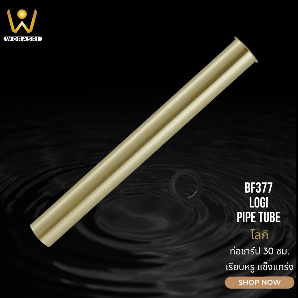 BF379 Pipe Sharp waste Drain
